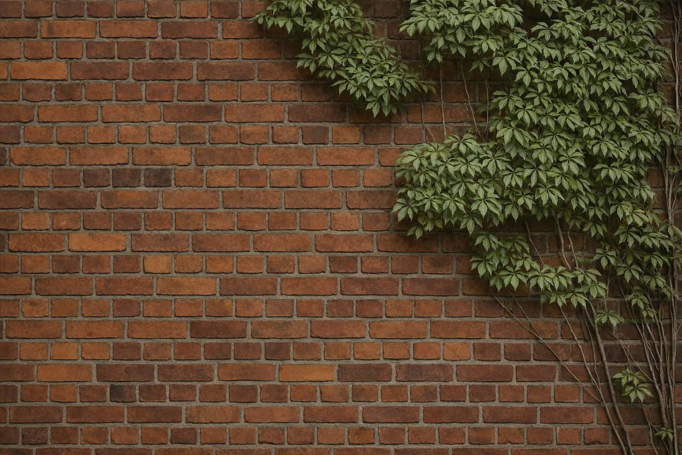 Brick wall installation